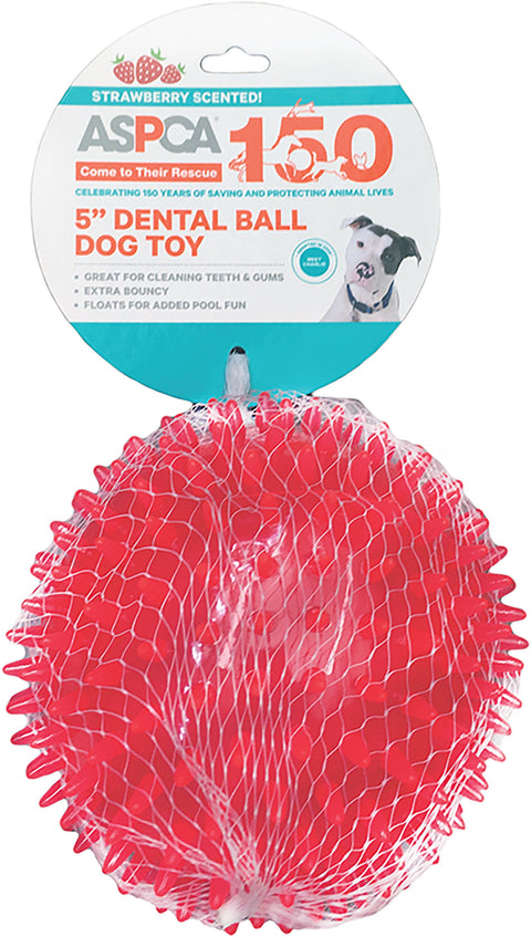 ASPCA 5" Dental Ball Dog Toy-Pink