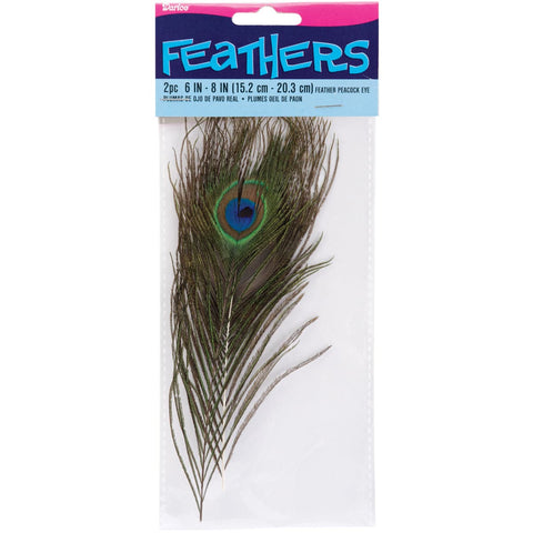 Feathers 2/Pkg-Peacock Eye