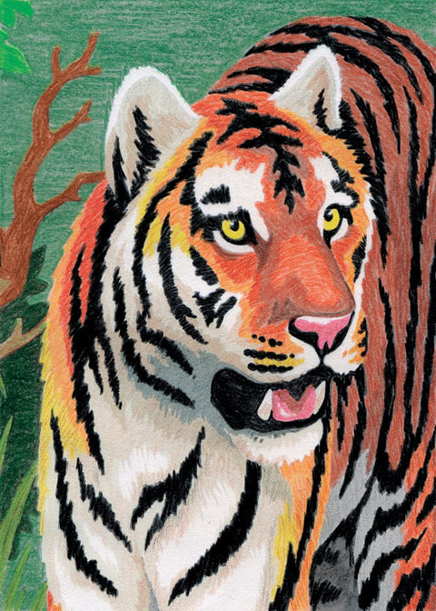 Mini Color Pencil By Number Kit 5"X7"-Jungle Tiger