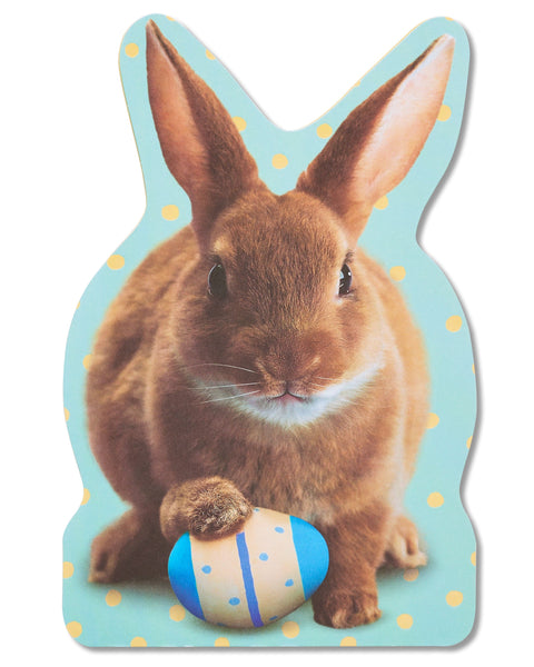 Greeting Card-Jumbo Bunny Easter